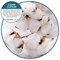 Fresh Products ourfreshE Refills, Cotton Blossom, PK6 OFENB-F-006I036M-06 - alternate 4